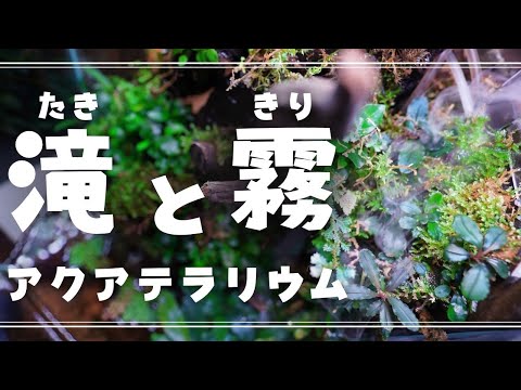 永遠に放置管理できるポンプ１個で作れる滝と霧の湧くアクアテラリウム【アクアリウム】パルダリウム 陰性水草レイアウト