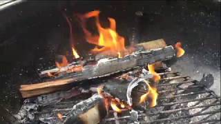 Def Leppard - Wings of an Angel - Anděl ( 9 )