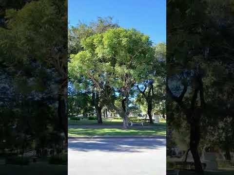 Ciudad de Hasenkamp. Departamento Parana. Entre Rios. Parte 13
