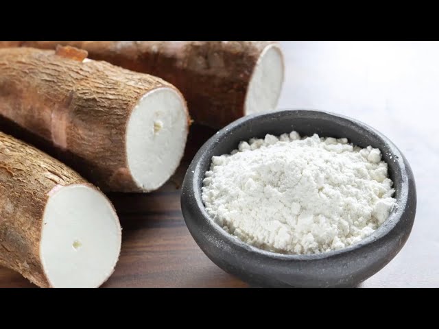 Vídeo relacionado con Toxicidad de la yuca (Manihot esculenta Crantz): Estudio con linamarina