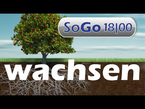 SoGo am 21.03.2021 - Im Glauben wachsen