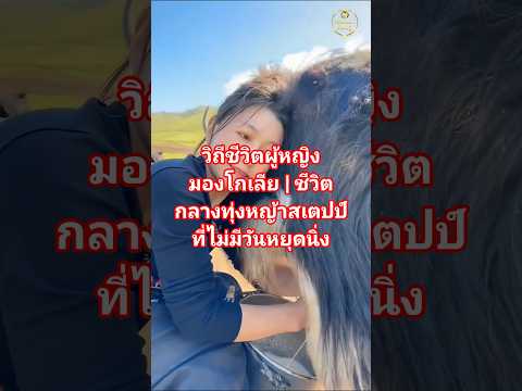 วิถีชีวิตผู้หญิงมองโกเลีย | ชีวิตกลางทุ่งหญ้าสเตปป์ที่ไม่มีวันหยุดนิ่ง