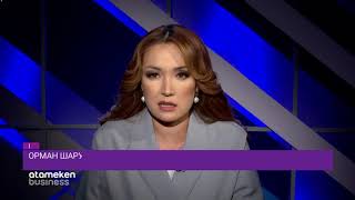Орман шаруашылығы қашан оңалады?