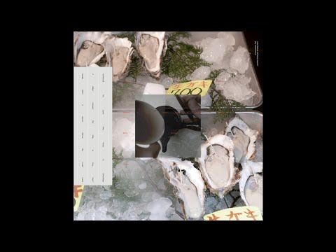 Loke Rahbek & Frederik Valentin – Buy Corals Online (Full Album) [Editions Mego]