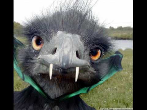 Harry Klynn - Kalinyxta sas , To Vampir