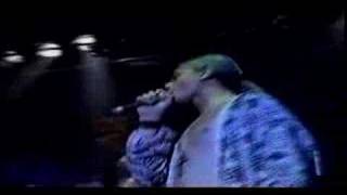 Conception - Roll the Fire (Live)