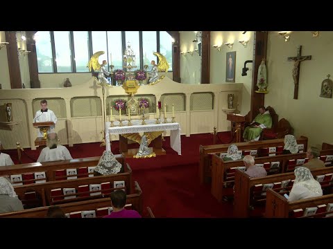 Daily Readings and Homily - 2025-08-18 - Fr. Matthew