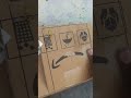 How To Make Bird Trap At Home Shorts