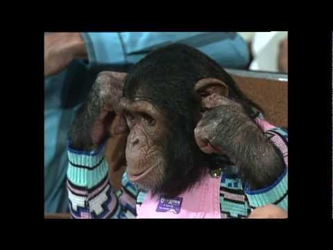 Live Dick Clark Presents 02 Michael Jacksons monkey Bubbles