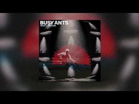 Moritz Hofbauer - Busy Ants