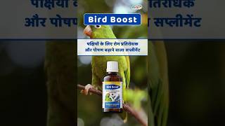 Download lagu Bird Boost - Immunity Booster & Nutritional Supplement for Birds mp3 Download lagu Bird Boost - Immunity Booster & Nutritional Supplement for Birds mp3