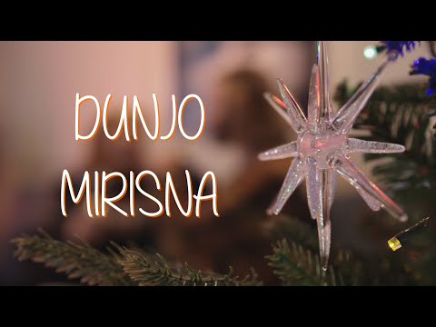 Novi fosili - Dunjo mirisna (Official lyric video)
