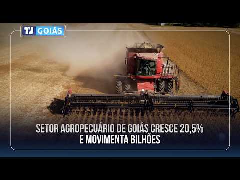 SETOR AGROPECUÁRIO DE GOIÁS CRESCE 20,5% E MOVIMENTA BILHÕES