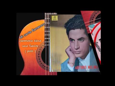 Antonio Molina canta  Orgullosa y peregrina {fandangos} Di que motivos tienes  zambra} Soleare  Carm
