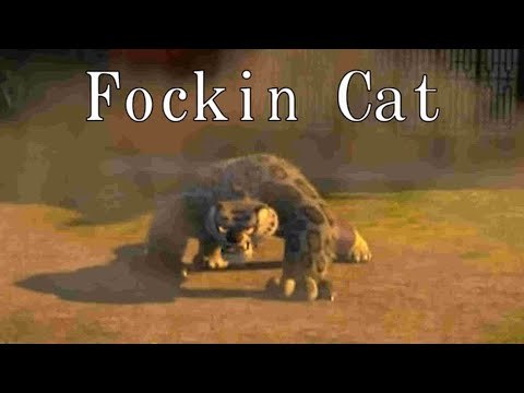 ＢＯＩ ＶＳ ＦＯＫＩＮ ＣＡＴ
