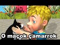 O MACOK CAMARROK - Kenge per femije - Muzika: Andrea Gudha, Teksti: Tasim Gjokutaj