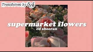 Ed Sheeran-Supermarket flowers(mmsub)