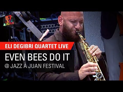 Eli Degibri Quartet - Even Bees Do It live in Antibes