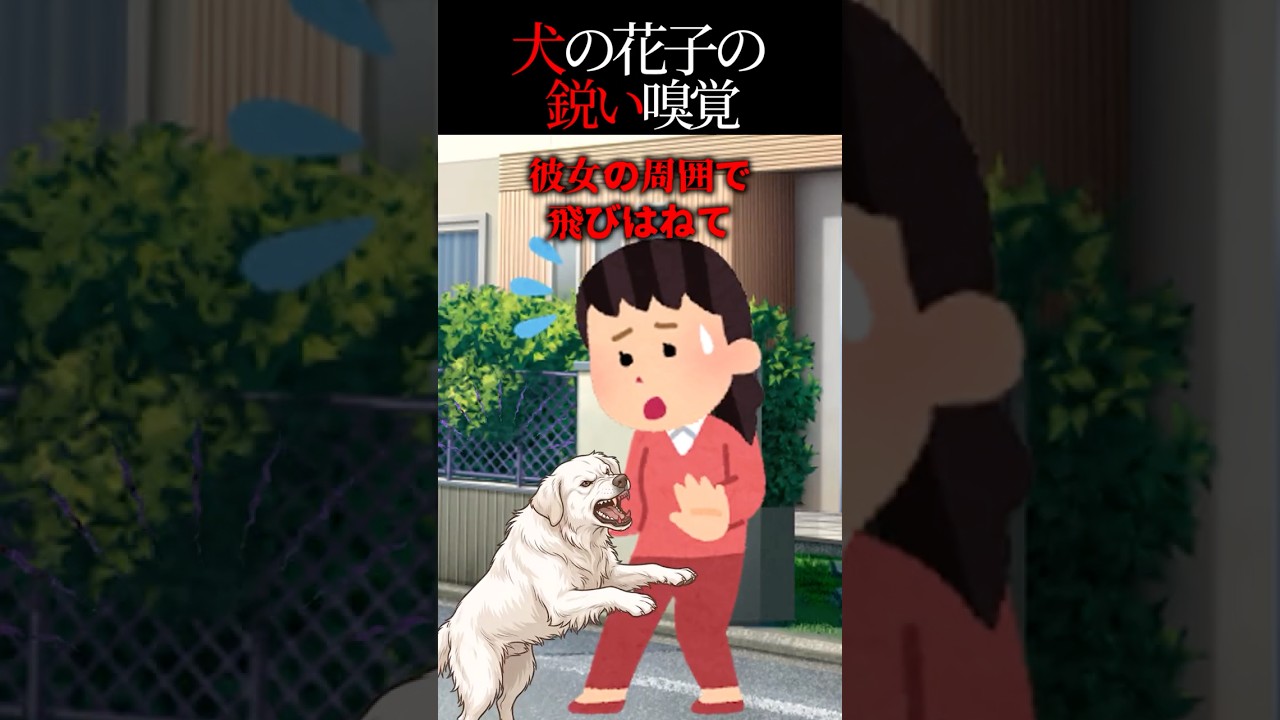 人懐っこい犬の花子が彼女に飛び掛かった理由
