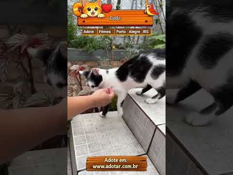 Vídeo de Bella