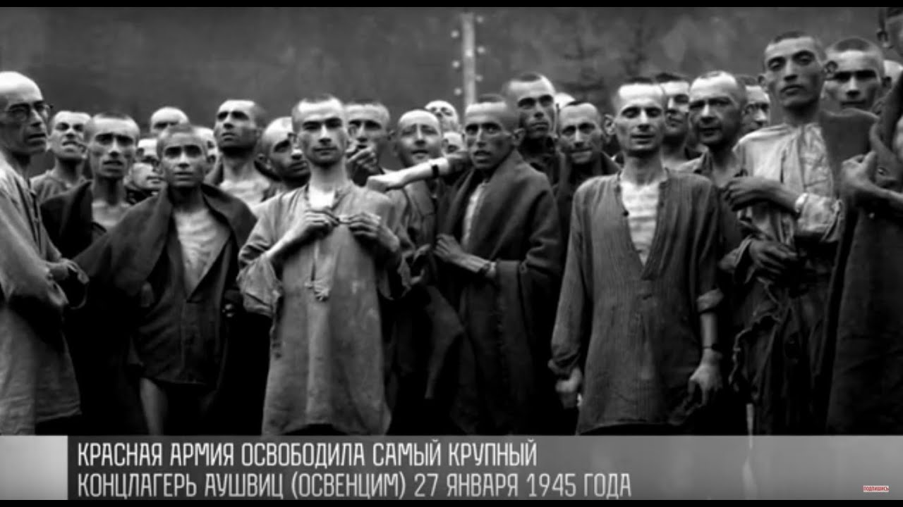 Холокост: нечеловеческая трагедия. Воспоминания выживших