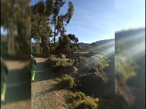 🌸Mana Mamayoq 🌸 Mónica Rivas sumaq Kuyaq 🌸