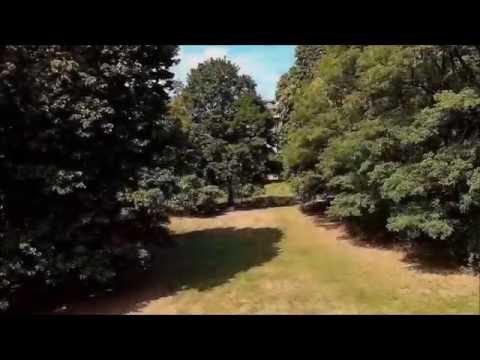 Wakacje w Puszczy Białowieskiej z lotu ptaka