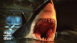 Shark Eats Crew