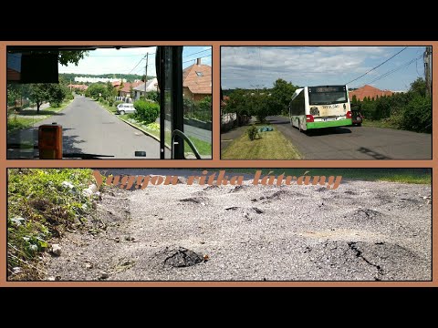 Terelt útvonalon jár a 69-es busz a villámárvíz okozta károk miatt