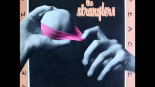 The Stranglers  (in a while)