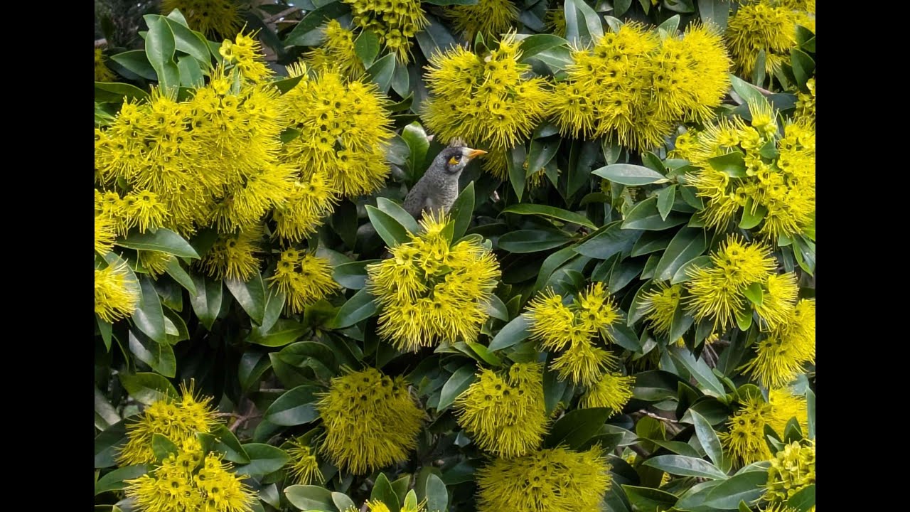 Photo Of The Month May 2025