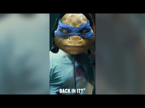 Would You Watch 'Middle-Aged Mutant Ninja Turtles'?