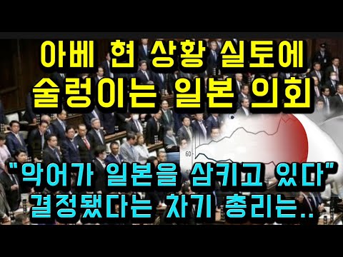 아베 현 상황 실토에 술렁이는 일본의회/ "악어가 일본을 삼키고 있다", 이미 결정됐다는 차기 총리는 이사람