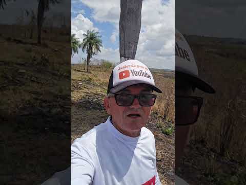 BARRAGEM DE LAGOA DO CARRO PERNAMBUCO