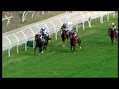 Napoli Galoppo 16/01/2022 - 3ª corsa