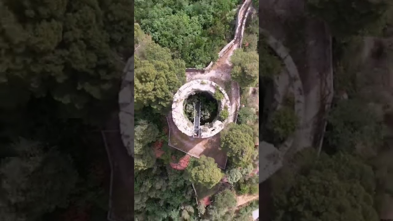 YouTube Short thumbnail