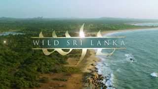 Sri Lanka - Coast of Giants