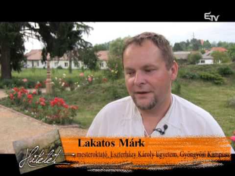 Hitélet: gyógynövénynap Székelyföldön – 2016. július 10.