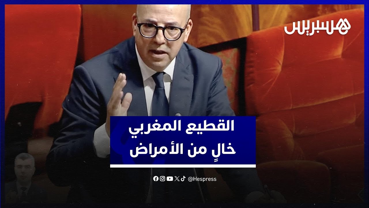 وزير الفلاحة أحمد البواري: القطيع المغربي خالٍ من الأمراض وسأكون أول من يتحدث عنها إذا ظهرت thumbnail