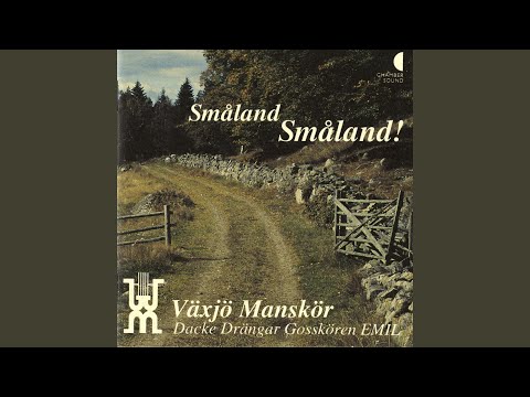 Flickorna i Småland