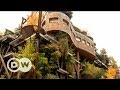 Green Urban Living A Treehouse In The City