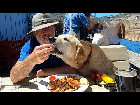 Mersea's Seafood at Avila