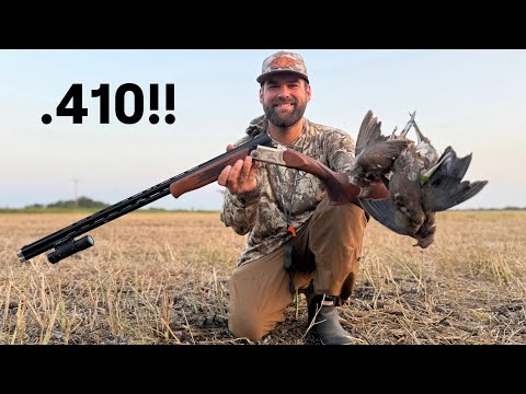 Dove Hunting With a .410!