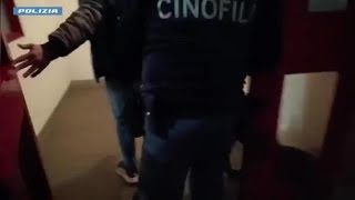 Bologna, scoperto traffico internazionale di droga: quattro arresti