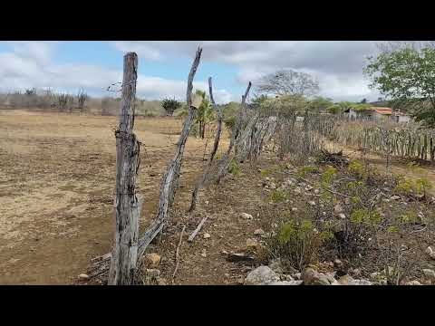 Serra Branca Colado Com Caatinga Casserengue PB 