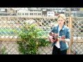 MISTY MILLER - REMEMBER (BalconyTV) 