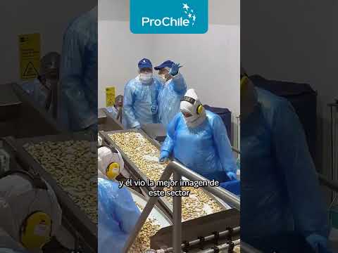 Director General de ProChile visita las empresas Sudmaris y St. Andrews en la región de Los Lagos