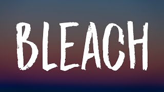 Cover art for Bleach