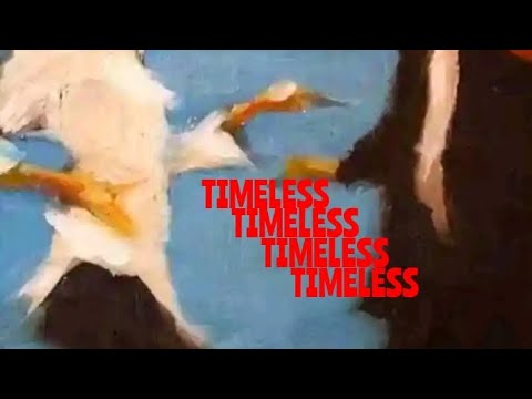 Phene -TIMELESS