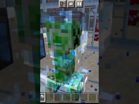 EPIC Minecraft Mob Transformations!